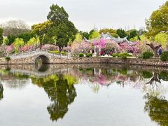 -无锡蠡湖国家湿地公园-蠡园