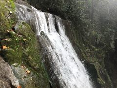 -藏龙百瀑风景区