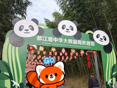 -都江堰中华大熊猫苑
