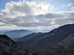 -朱雀国家森林公园
