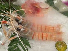 -京彩臻品火锅