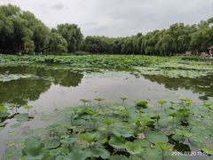 -北陵公园
