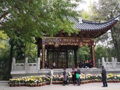 -汇龙潭