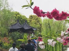 -南汇桃花村