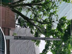 -中国福利会少年宫