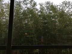 -太平洋咖啡(北大国际医院店)