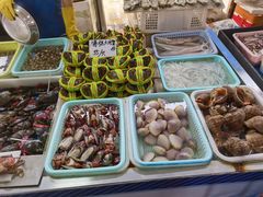 -大湾区中央湿地公园-十九涌