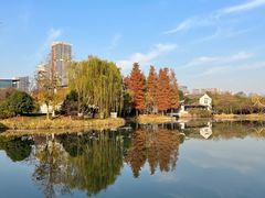 -贡湖湾湿地公园
