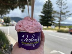 -Dooley's Premium Ice Cream