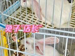 -SHRIMP CLUB万东餐饮钓虾·清吧