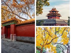 -故宫博物院(故宫)