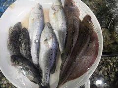 -富港会·海鲜酒楼(墟沟店)