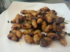 -台山新孖宝柴火黄鳝饭(三合温泉店)