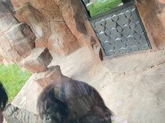 -杭州野生动物世界