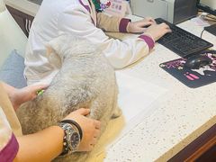 -宠爱国际动物医院·消化内科·心肾内科·ISFM猫友好(望京店)
