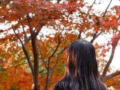 -中山公园