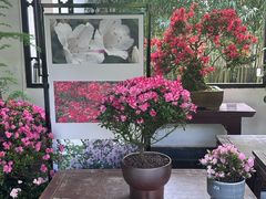 -杭州植物园