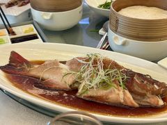 -太湖饭店玉兰厅(自助餐厅)