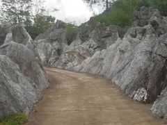 -千岛湖石林