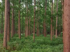 -上海怡沁园度假酒店