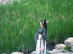 -莲湖公园