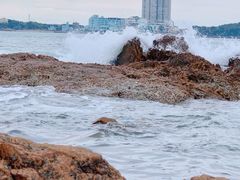 -海合安青岛极地海洋公园