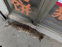 -老汪猪头肉春饼店