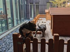 -上海崇明金茂凯悦酒店