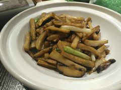 -蒙古大营(朝阳公园店)
