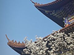 -皇罗禅寺