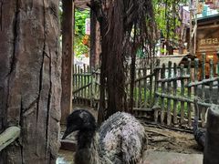 -长鹿旅游休博园