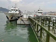 -青岛沙子口国家中心渔港