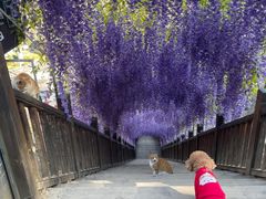 -沕沕水生态风景区