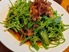 -菌自由丨野生菌火锅特色庭院餐厅(丽江古城店)