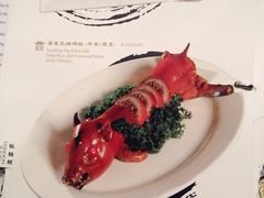 8餐厅-8餐厅(新葡京酒店)