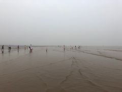 -南汇嘴观海公园