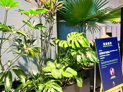 -北京东三环希尔顿逸林酒店