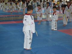 -陈中跆拳道(中关村馆)