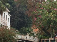 -广东温泉宾馆