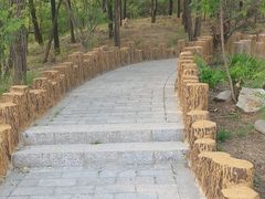 -白水寺森林公园