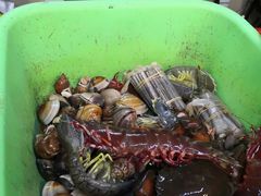 一盆海鲜-班赞海鲜市场