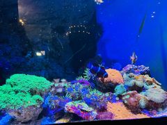 -成都浩海立方海洋公园