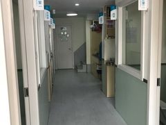 -乐派堂宠物医院·猫友好· 心脏科(东街店)