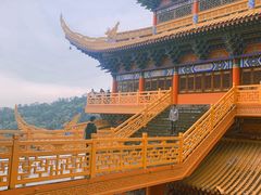 -东莞市大岭山森林公园