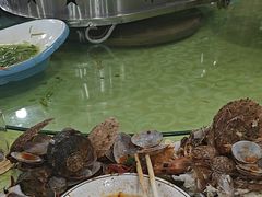 -沿海渔家院蒸汽海鲜·东北菜(东戴河店)