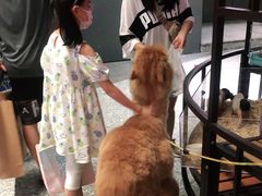 -1013 PET SHOP 宠物商店(近铁城市广场店)