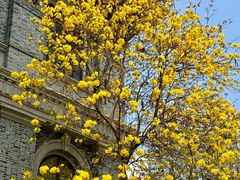 -四川大学(华西校区)