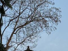 -鼓楼(西湖风景名胜区)