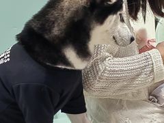 -怪兽屋·羊驼·猫咖·狗咖(俊华广场店)