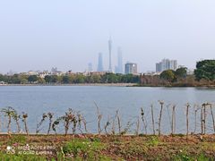 -海珠湖公园